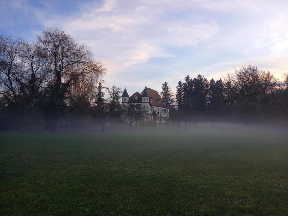 Chateau De Werde Bed & Breakfast Matzenheim Exterior photo