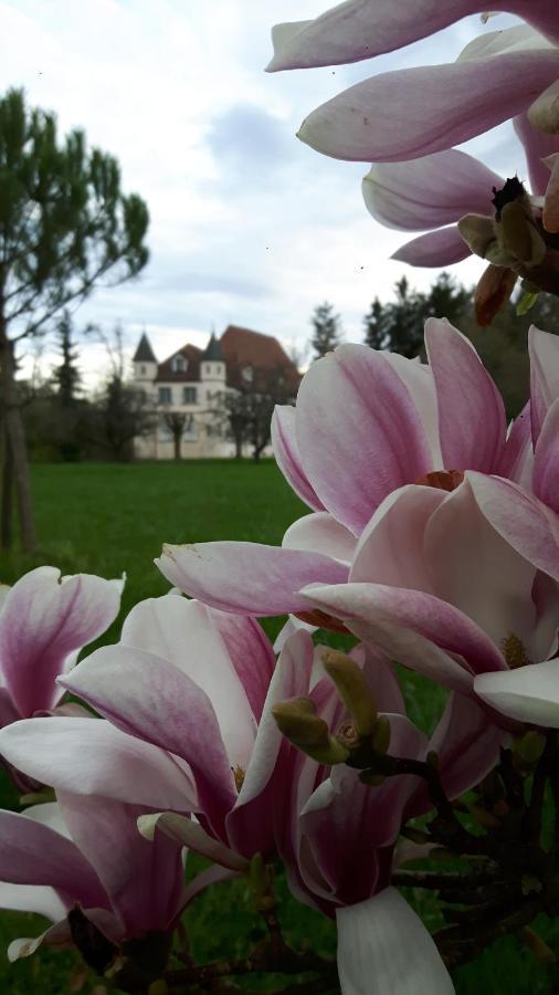 Chateau De Werde Bed & Breakfast Matzenheim Exterior photo