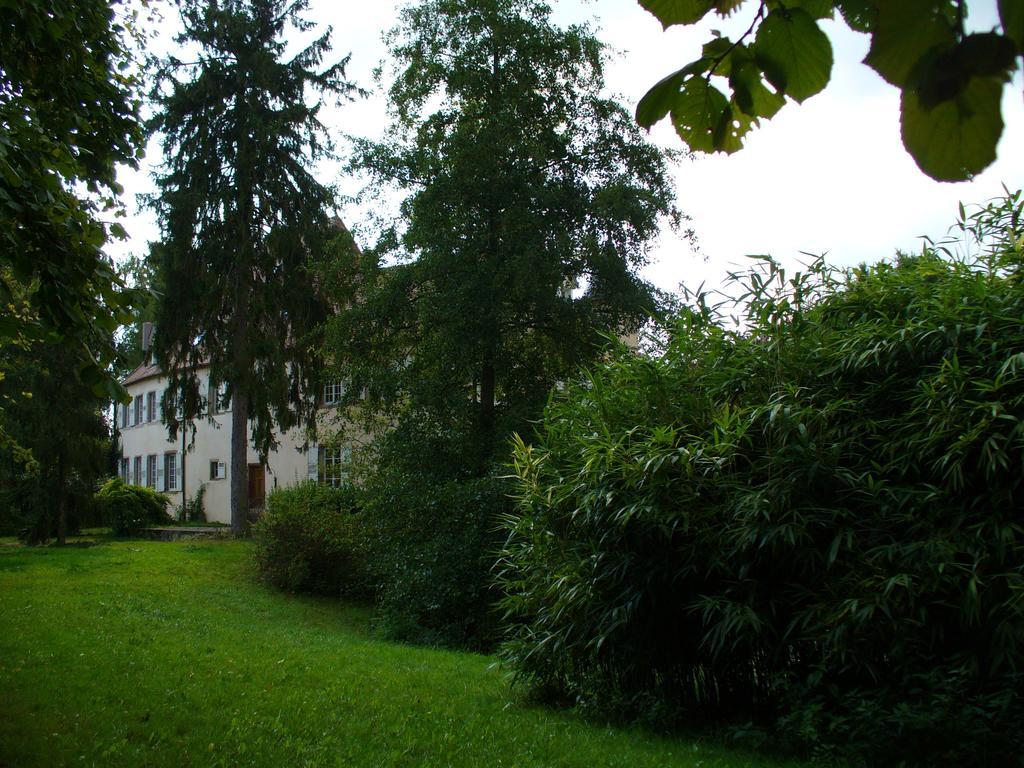 Chateau De Werde Bed & Breakfast Matzenheim Exterior photo