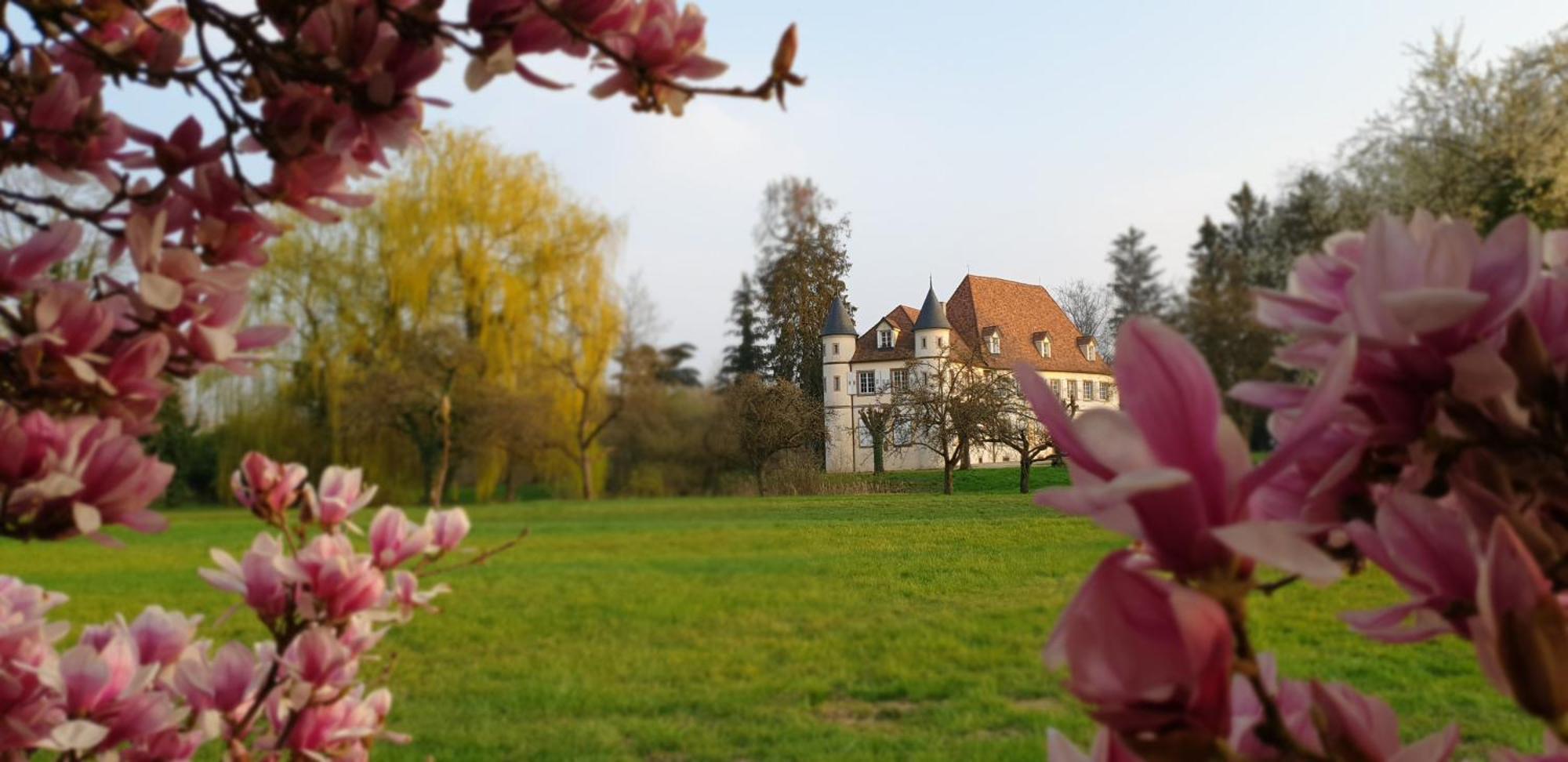 Chateau De Werde Bed & Breakfast Matzenheim Exterior photo